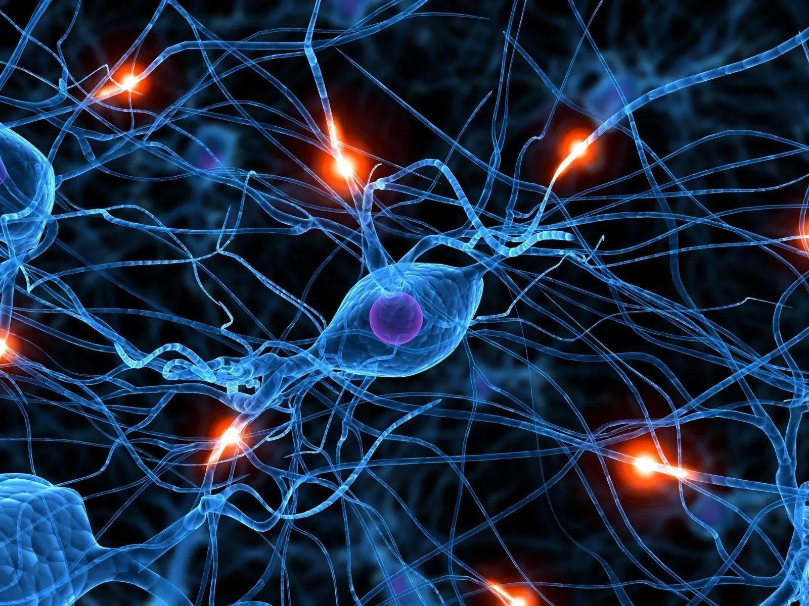 Neural network illustration